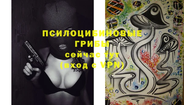 дживик Алзамай