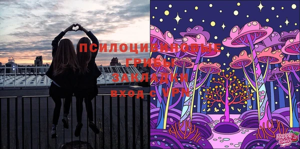 амф Алексин
