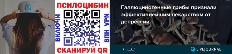Галлюциногенные грибы Psilocybine cubensis  Суровикино 